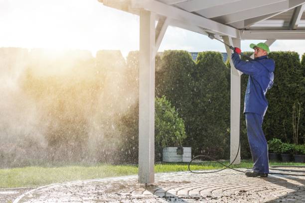 Best Sidewalk and Walkway Pressure Cleaning in Chauvin, LA