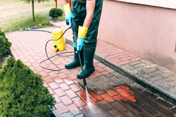 Best Roof Cleaning and Mildew Removal in Chauvin, LA